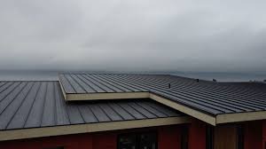 Best Cold Roofs  in Fort Carson, CO